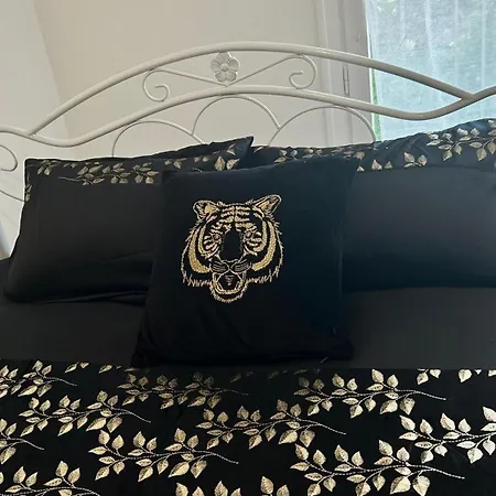 T3 Cosy Coeur Aix Les Bains Avec 2 Balcons *