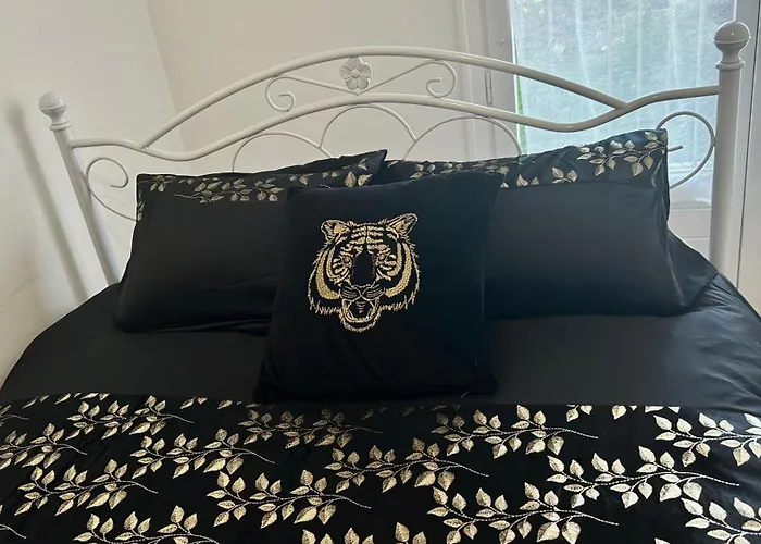 T3 Cosy Coeur Aix Les Bains Avec 2 Balcons *