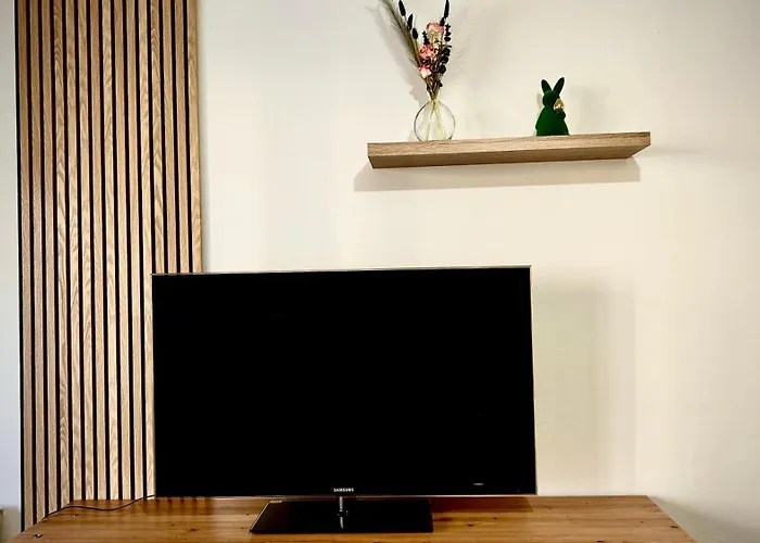 Apartment T3 Cosy Coeur Aix Les Bains Avec 2 Balcons